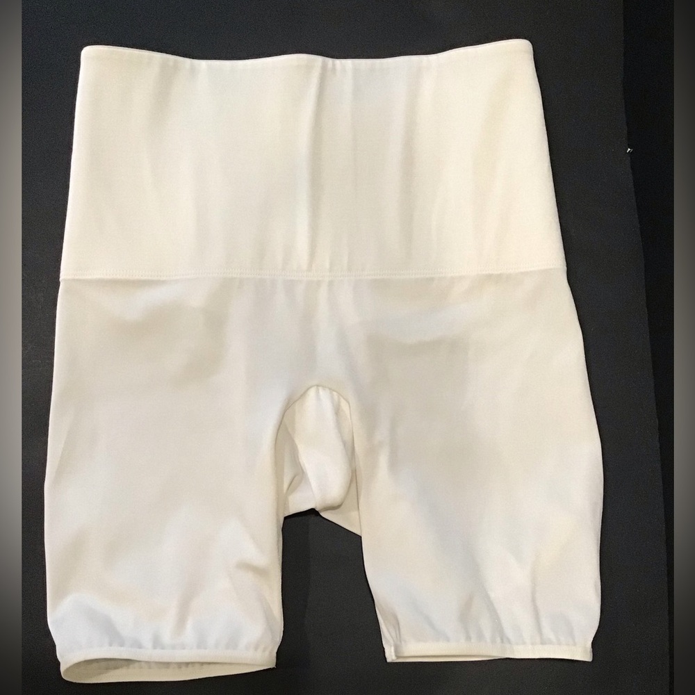 Bodyslimmers Panties by Nancy Ganz SZ XL